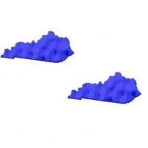 Kentucky Hammered Blue Stud Earrings